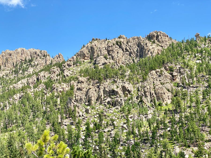 The granite spire formations along Needles Highway in Custer State Park.
