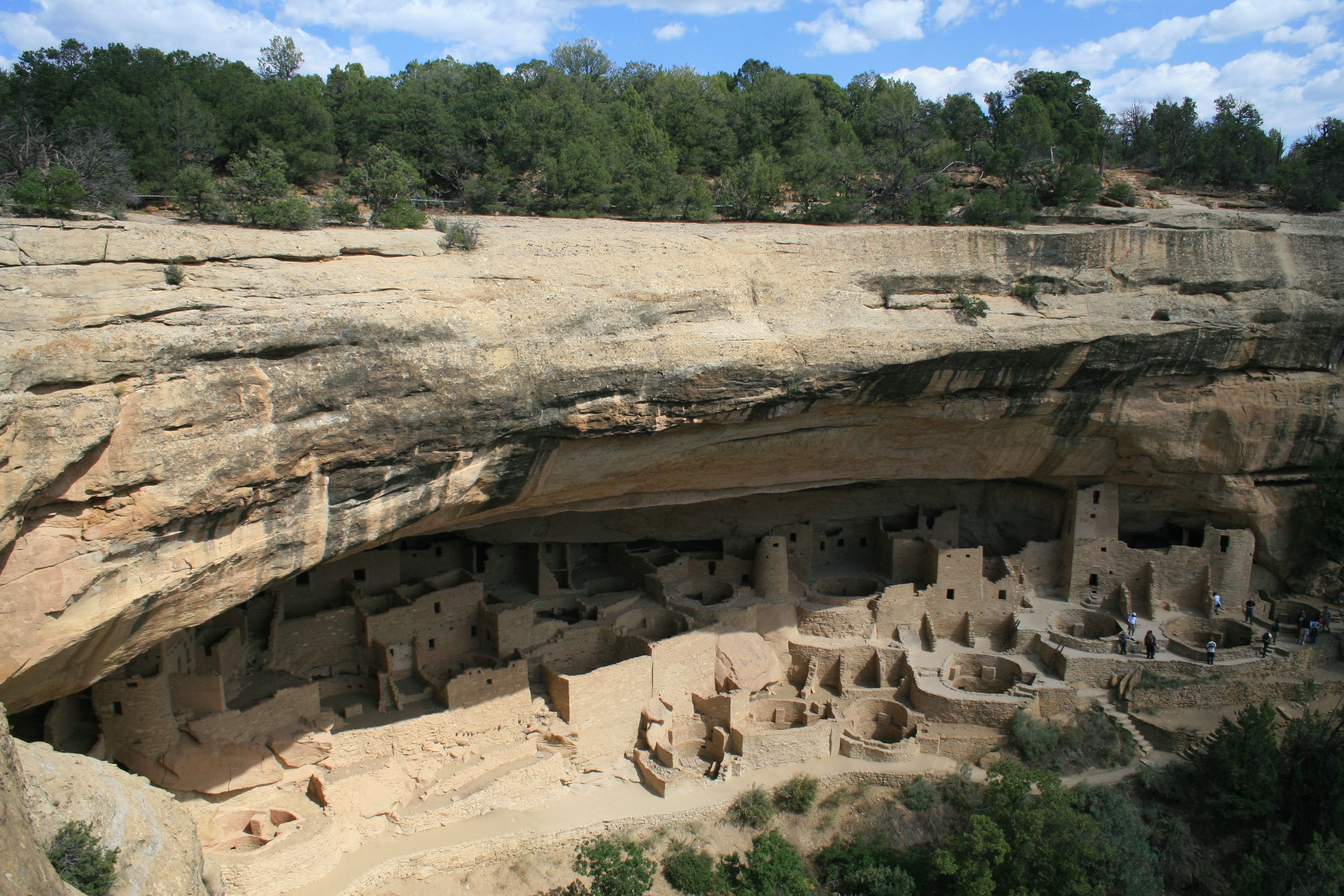 A wide view of Cliff Palace set into its canyon alcove.