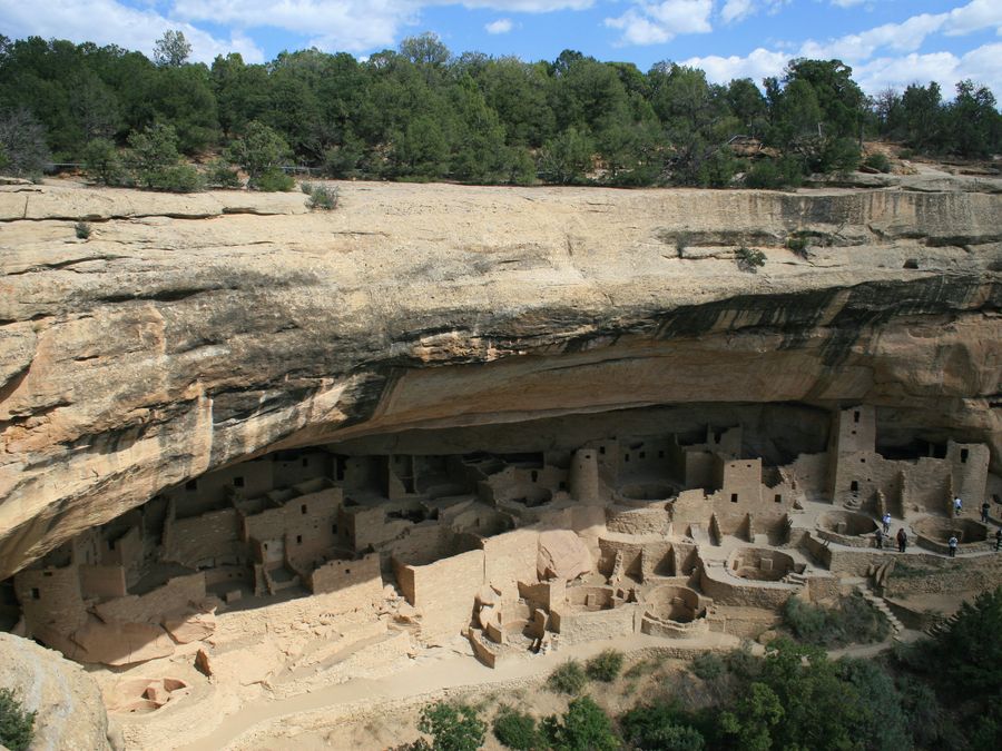 A wide view of Cliff Palace set into its canyon alcove.