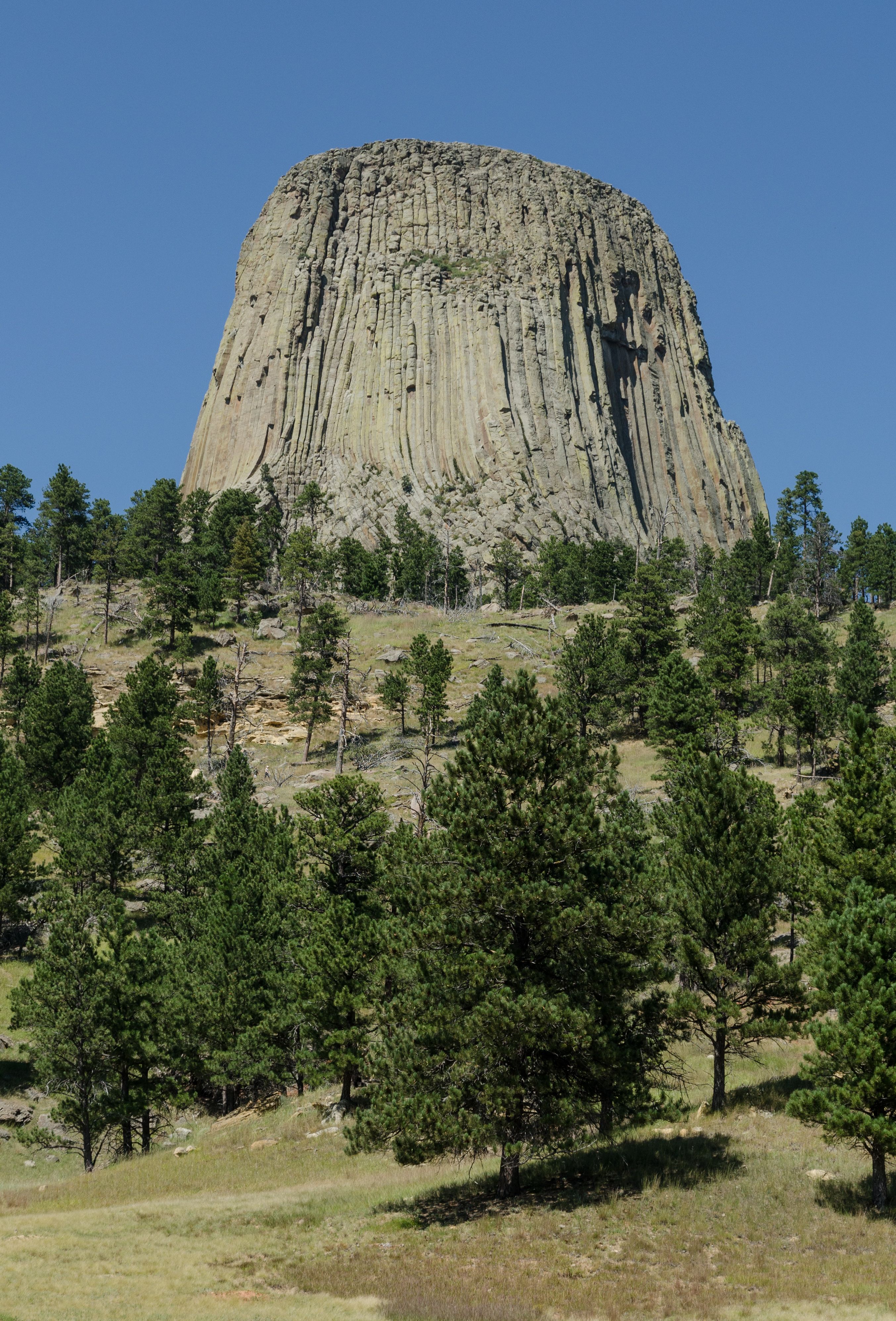 Devils Tower rising above the surrounding Wyoming landscape.