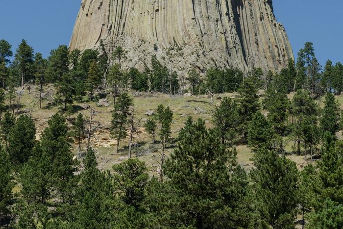 Devils Tower rising above the surrounding Wyoming landscape.