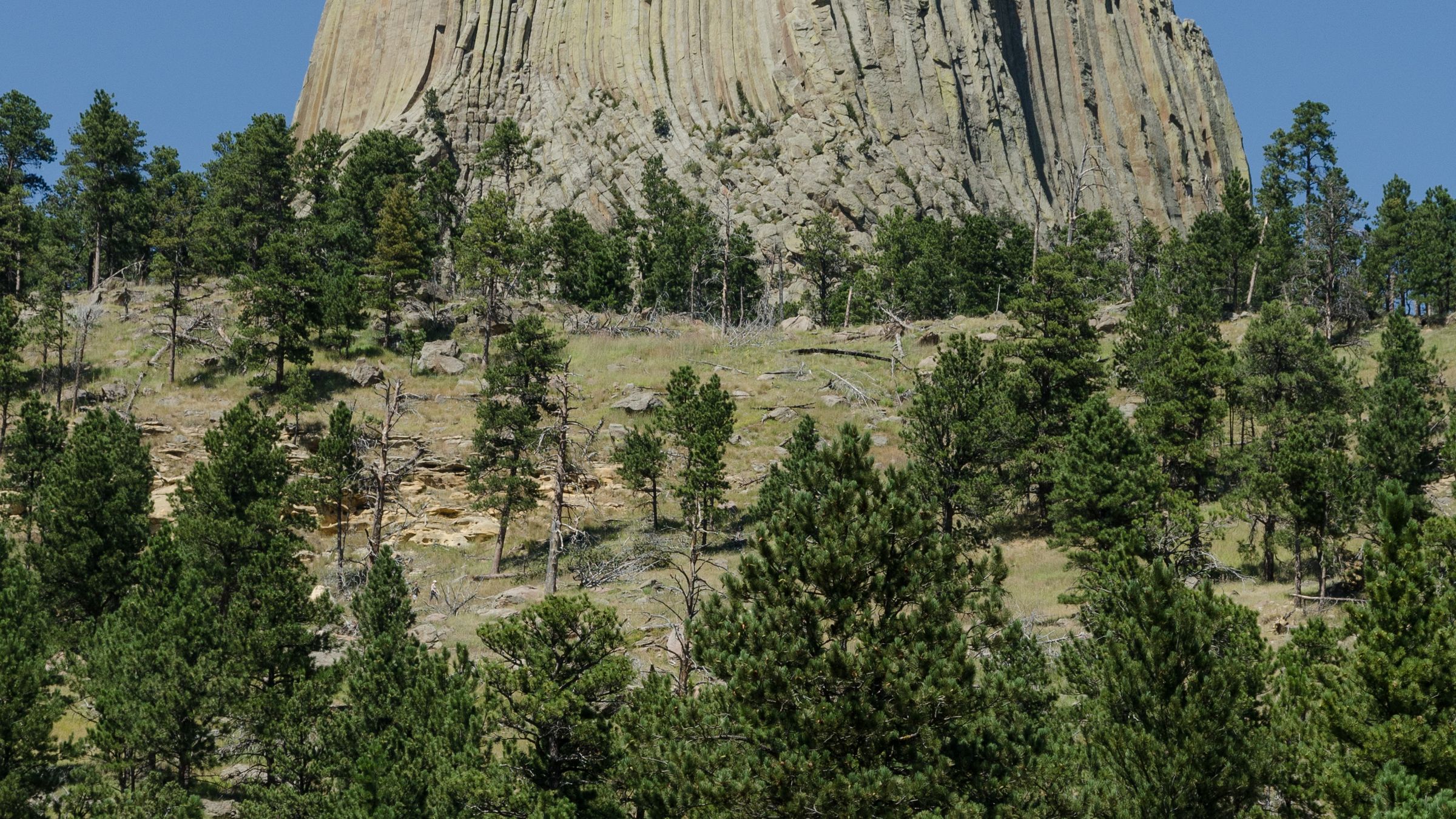 Devils Tower rising above the surrounding Wyoming landscape.