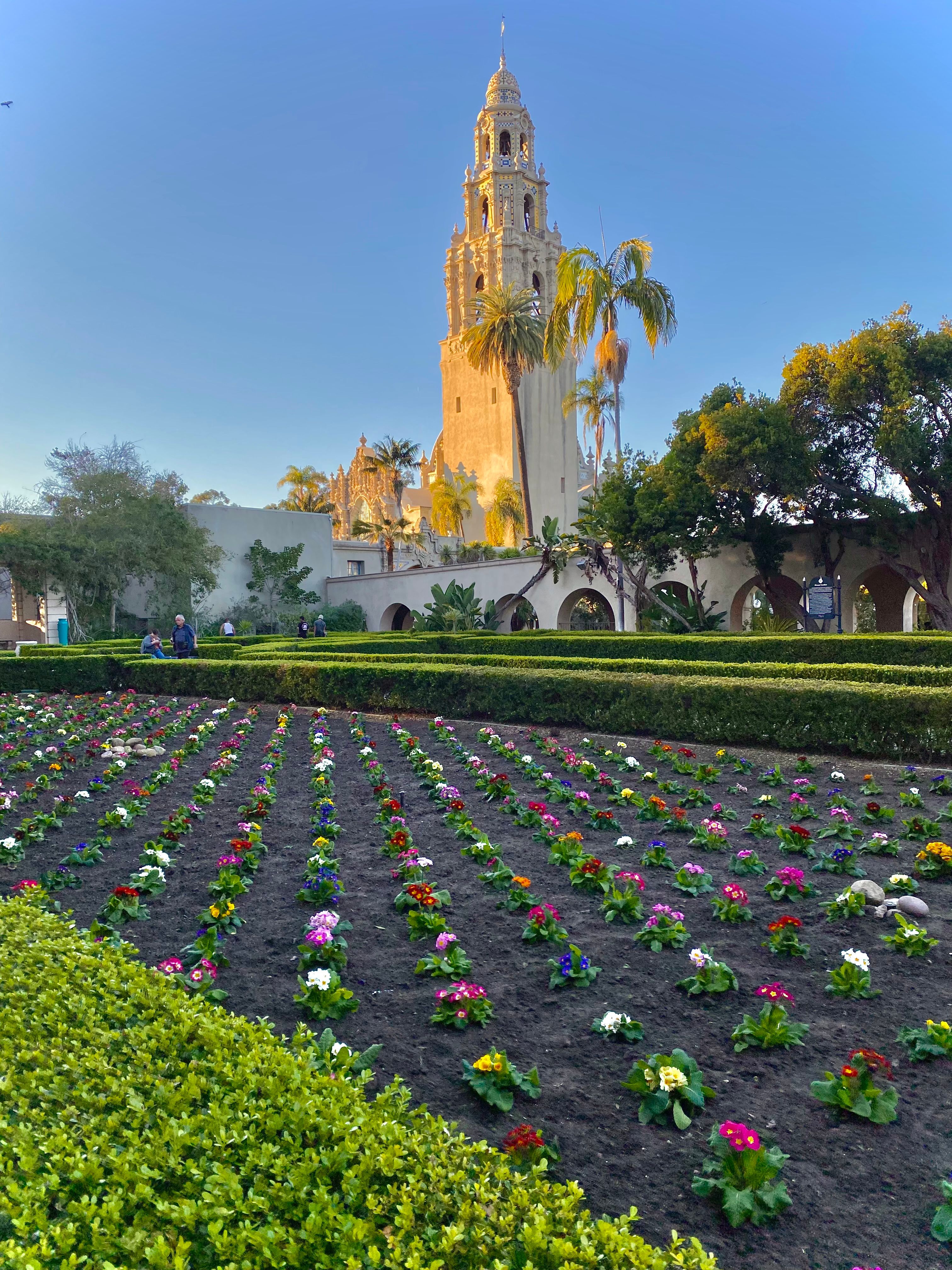 The California Tower and gardens at Balboa Park in San Diego.