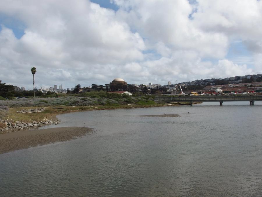 The restored tidal marsh at Crissy Field within the Presidio.