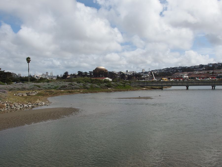 The restored tidal marsh at Crissy Field within the Presidio.