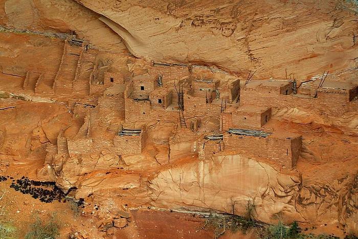 The Betatakin cliff dwelling tucked into a sandstone alcove at Navajo National Monument.