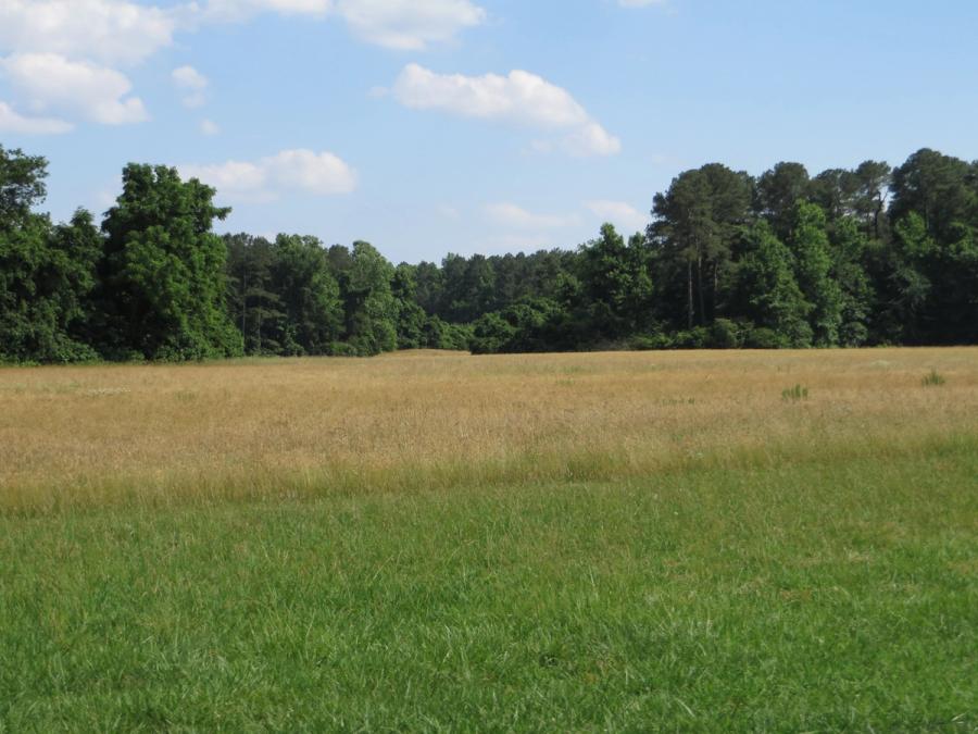 The open field at Yorktown where the British army surrendered.