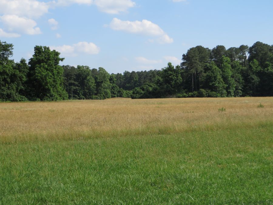 The open field at Yorktown where the British army surrendered.
