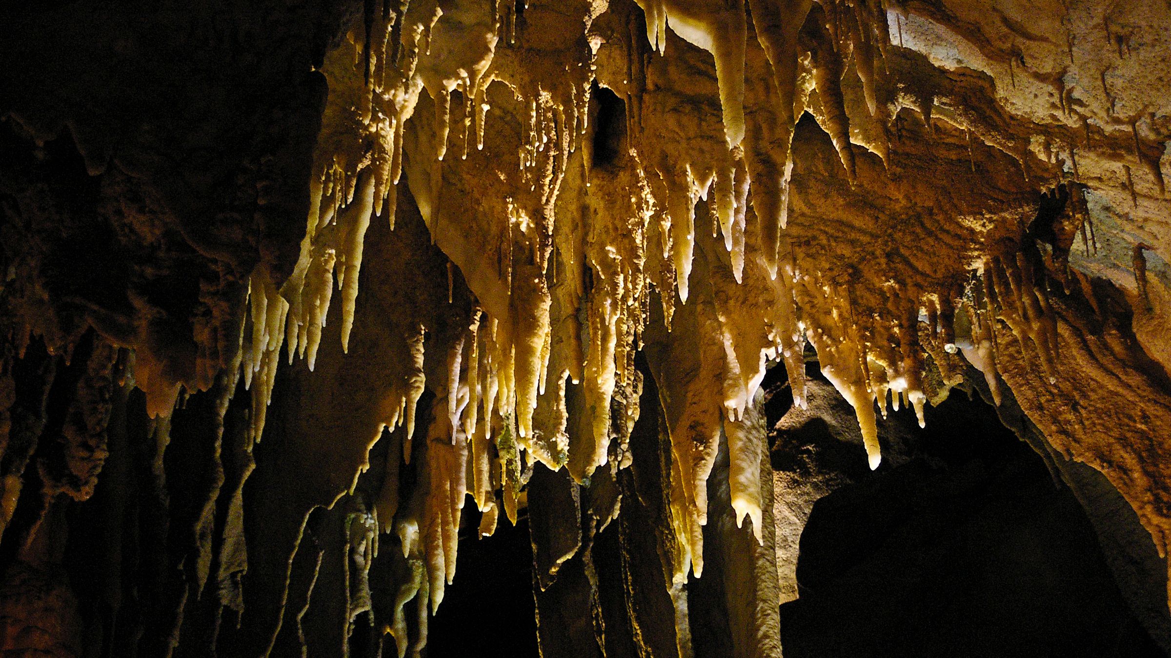 The forested entrance landscape of Mammoth Cave National Park in Kentucky.
