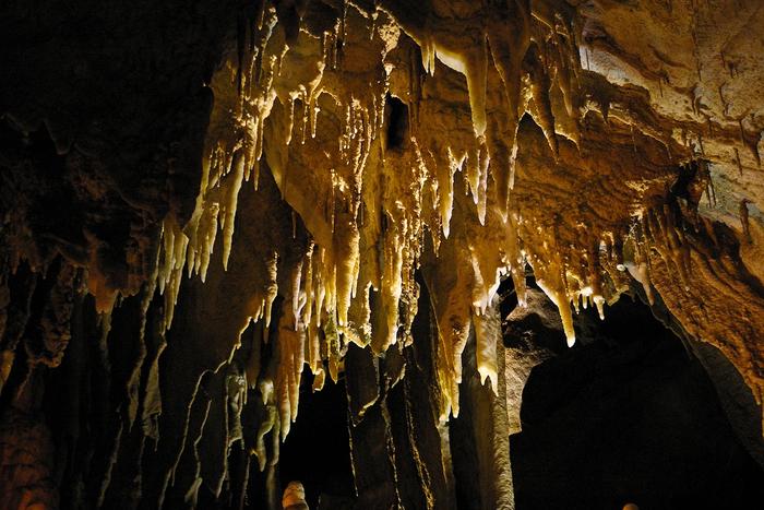 The forested entrance landscape of Mammoth Cave National Park in Kentucky.