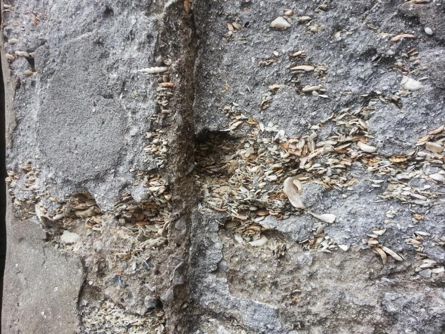 A close view of the coquina shellstone walls of the fort.