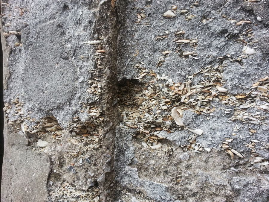 A close view of the coquina shellstone walls of the fort.