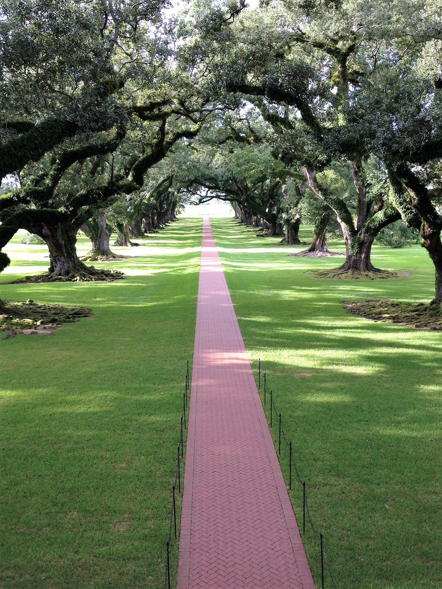 The Greek Revival mansion at Oak Alley Plantation framed by its oak canopy.