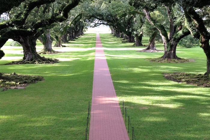 The Greek Revival mansion at Oak Alley Plantation framed by its oak canopy.