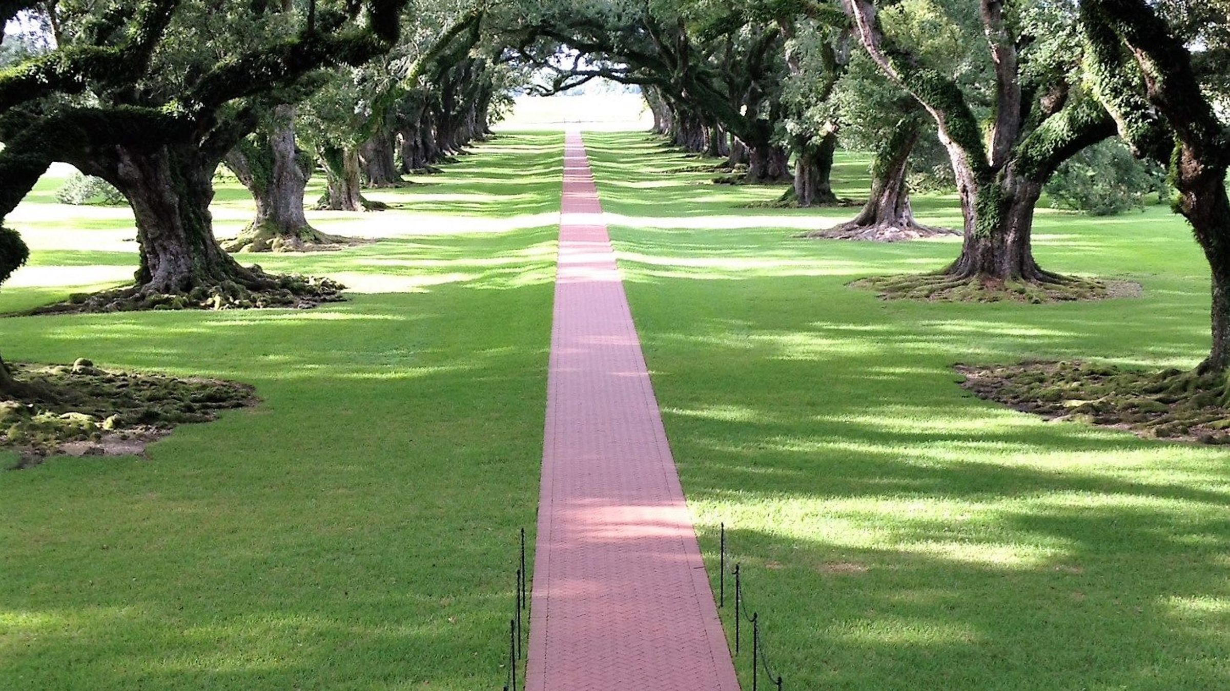 The Greek Revival mansion at Oak Alley Plantation framed by its oak canopy.