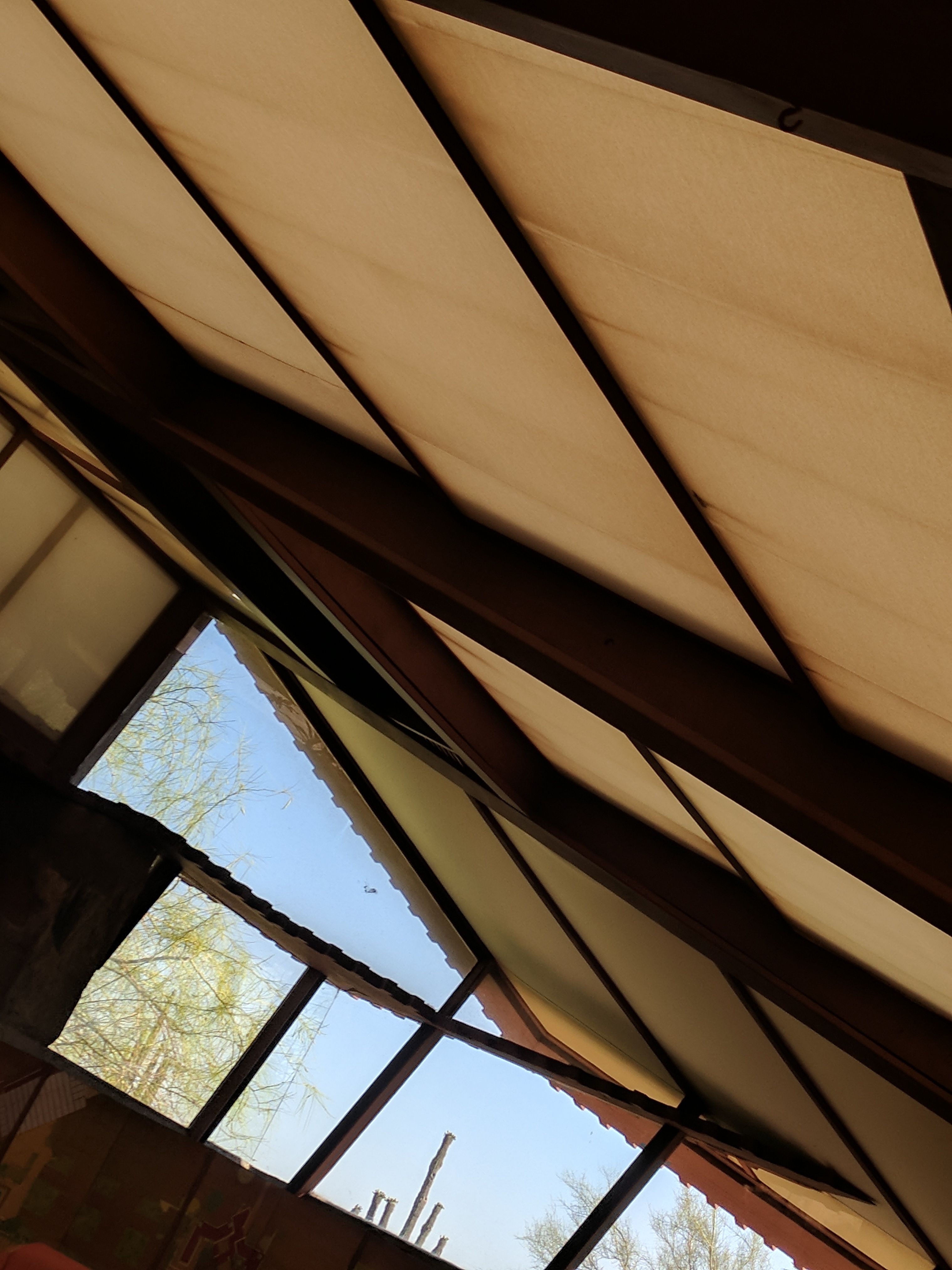 The canvas-and-redwood ceiling of the art studio at Taliesin West.