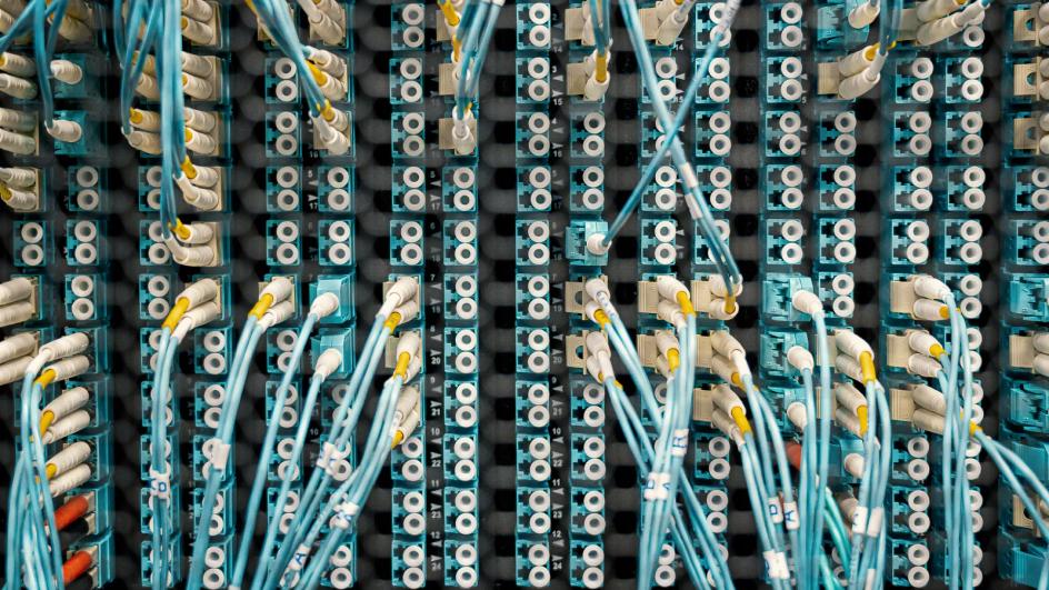 Cables de un panel de parcheo en un rack, la capa de red donde se detiene de verdad a un crawler que ignora robots.txt