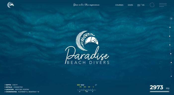 Paradise Beach Divers hero homepage