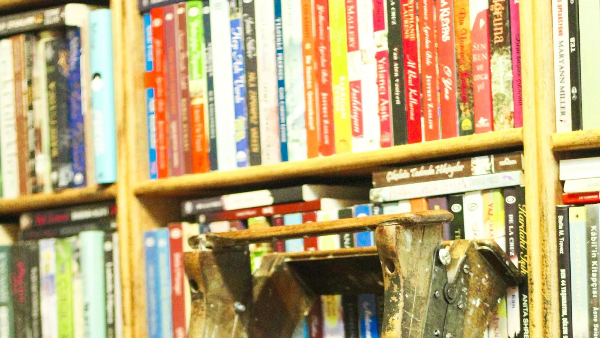 A wooden ladder leaning against packed library shelves, the stock of pages that keep earning long after publication