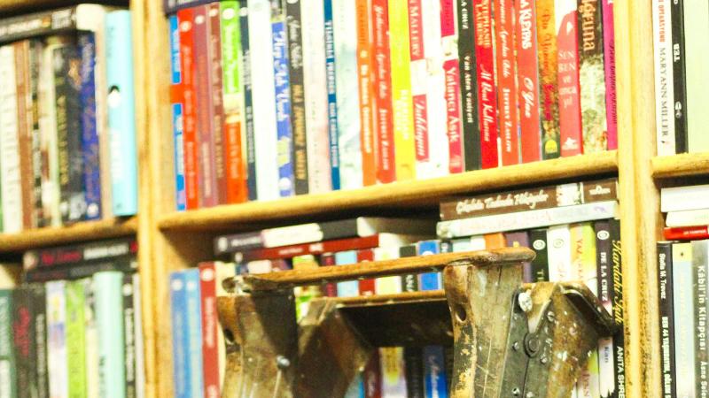 A wooden ladder leaning against packed library shelves, the stock of pages that keep earning long after publication