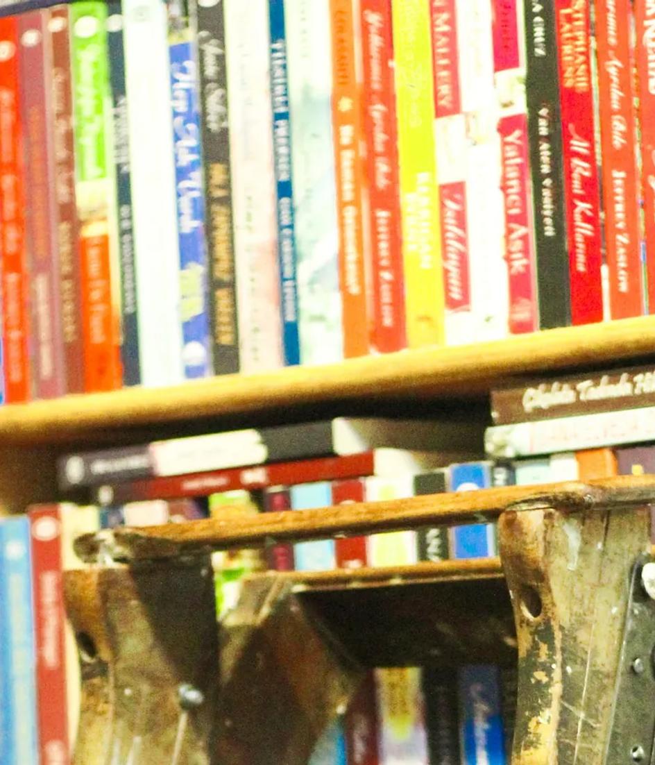 A wooden ladder leaning against packed library shelves, the stock of pages that keep earning long after publication