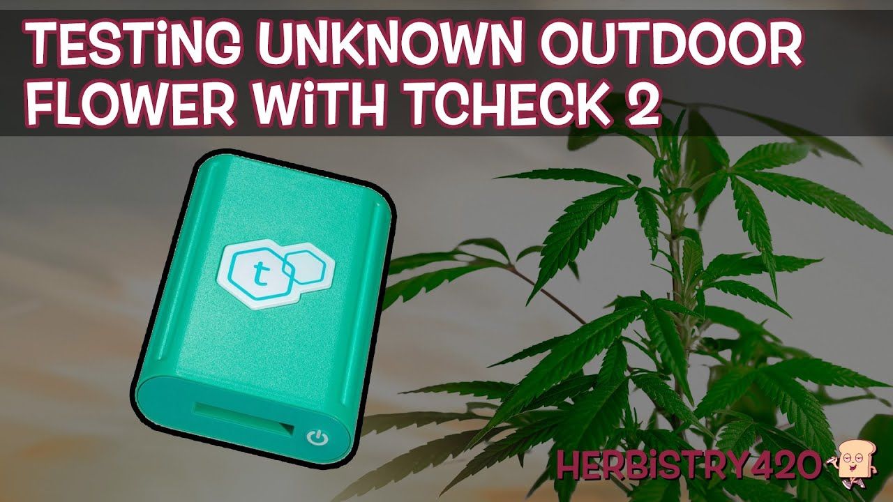 testing outdoor cannabis potency