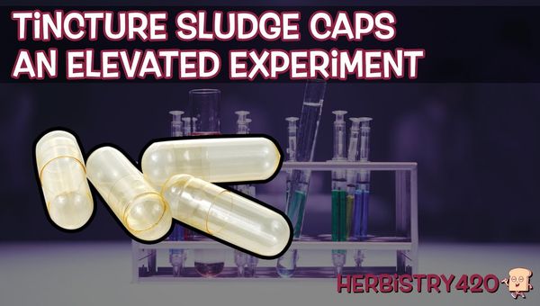 cannabis tincture sludge capsules