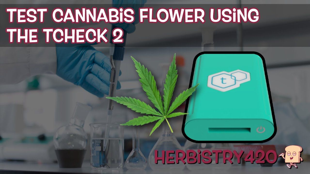 tcheck 2 cannabis flower test