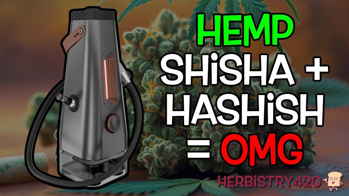 enso shisha and hashish