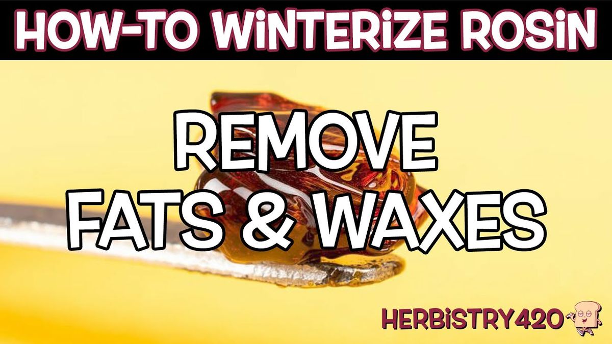 how to winterize rosin