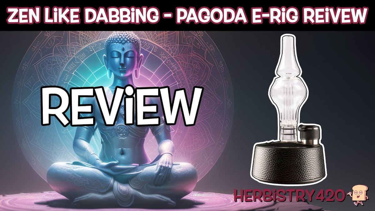 pagoda e rig review