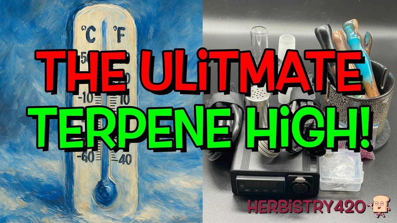 taroma 360 low temp terpene high