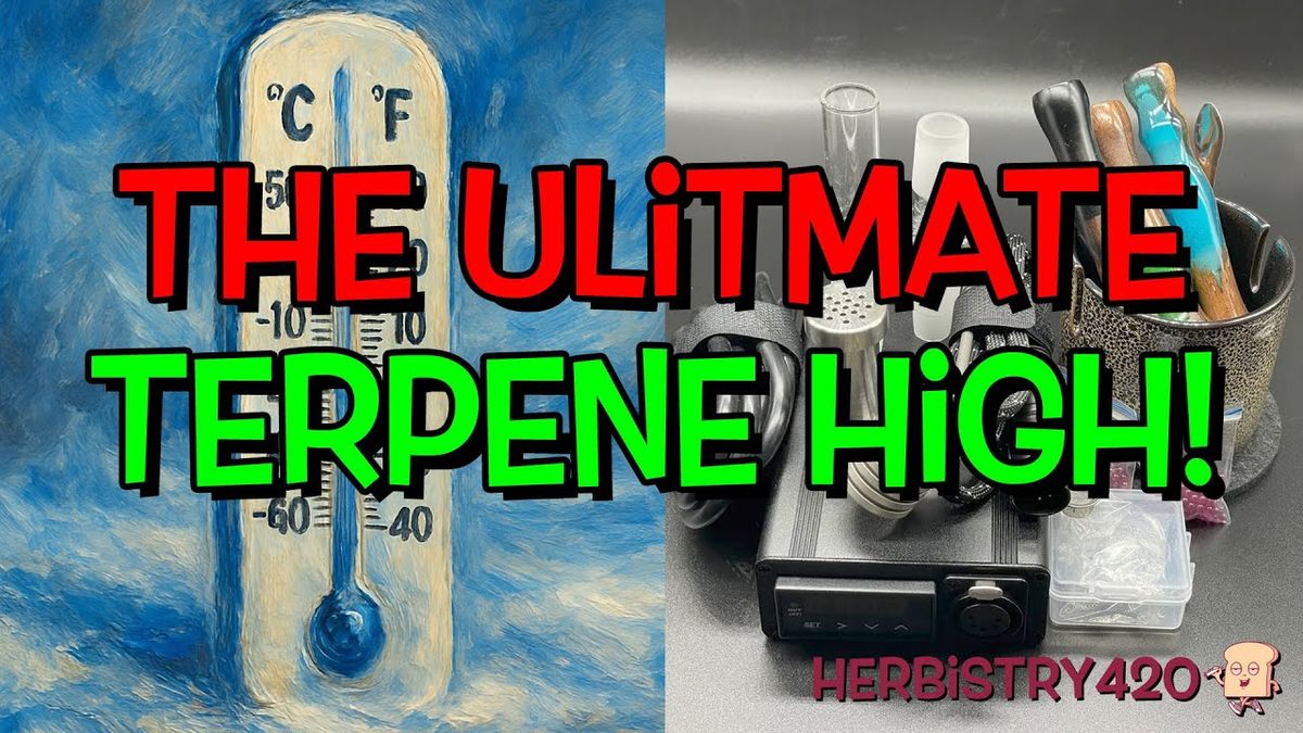 taroma 360 low temp terpene high