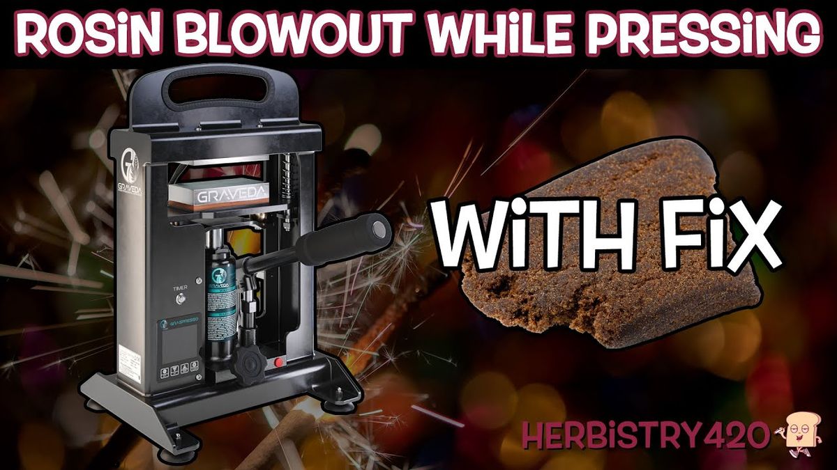 rosin blowout while pressing