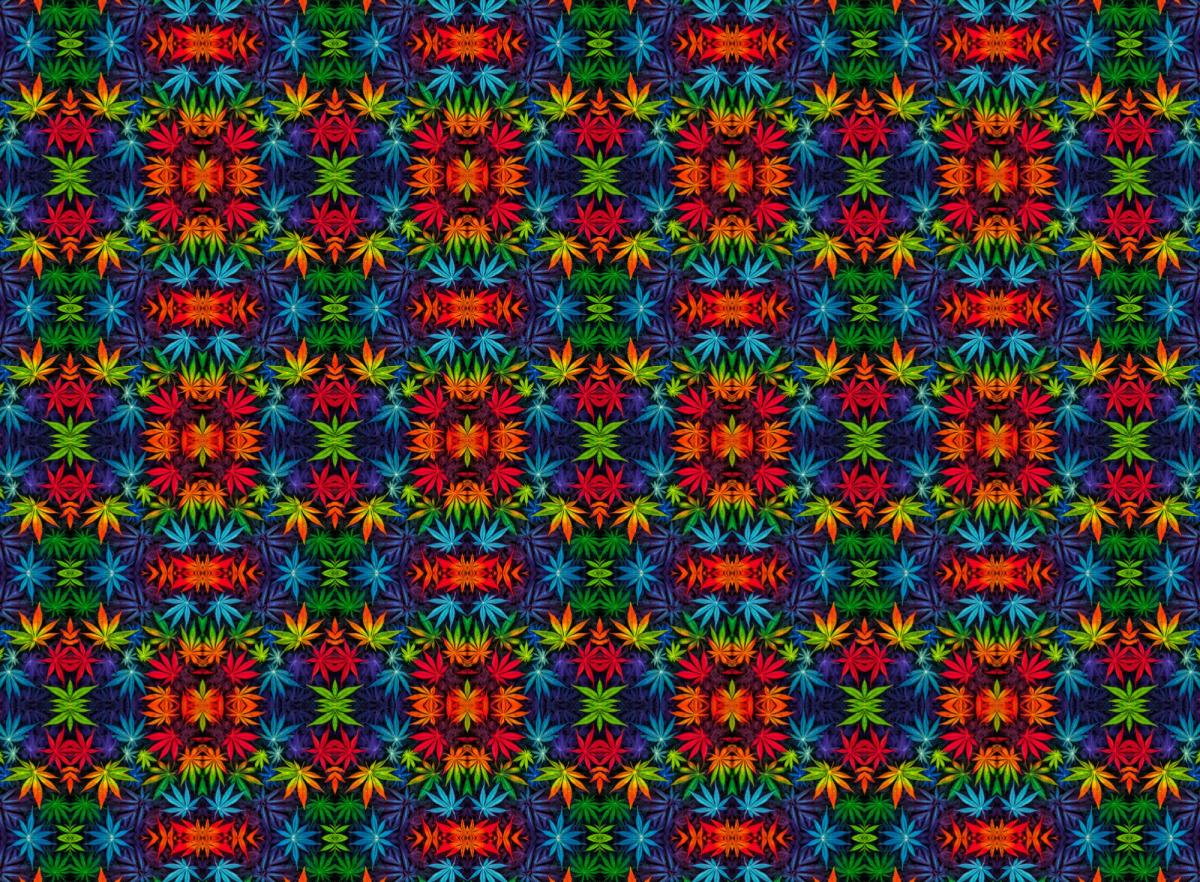 Colorful Leaves - All-over print unisex wide-leg pants — back