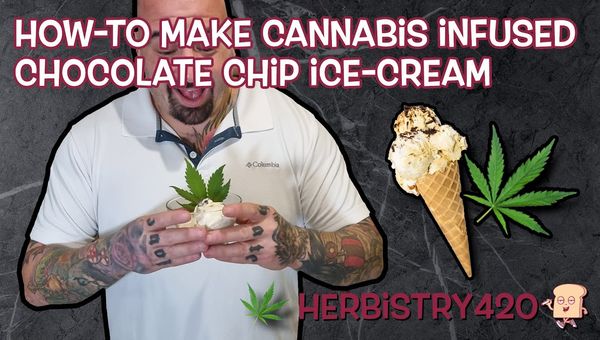 cannabis infused chocolate chip ice cream