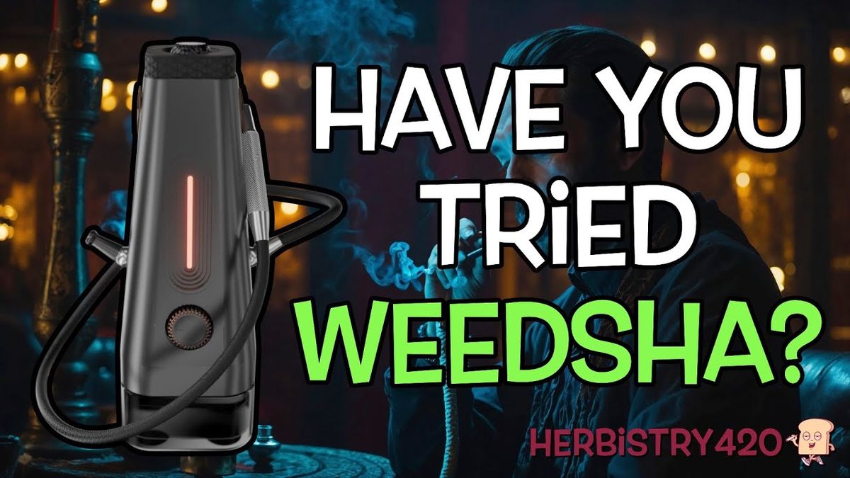 what is weedsha enso shisha review