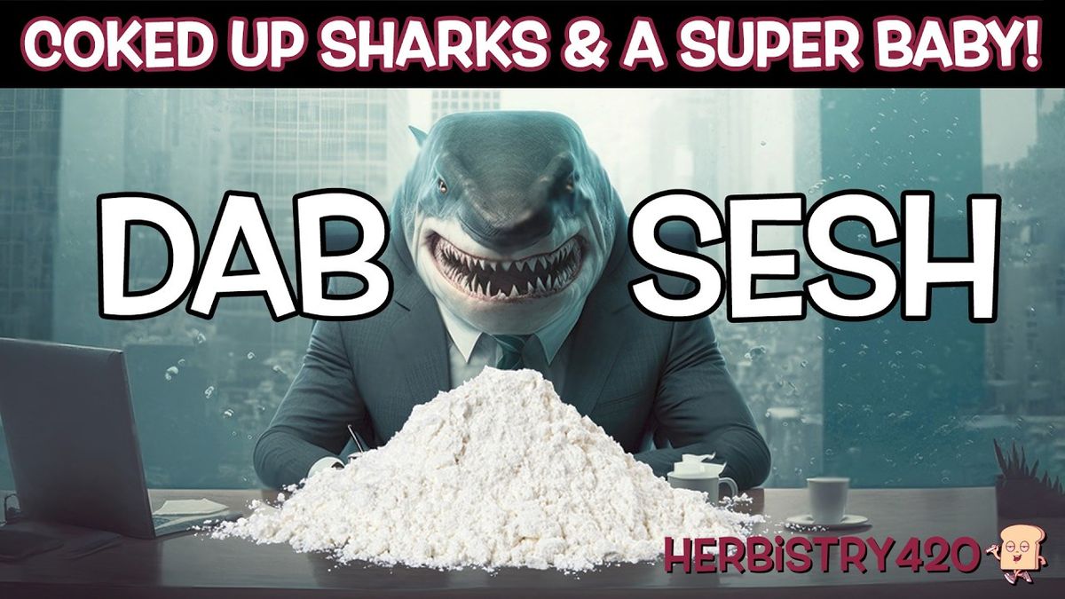 dab session coked up sharks