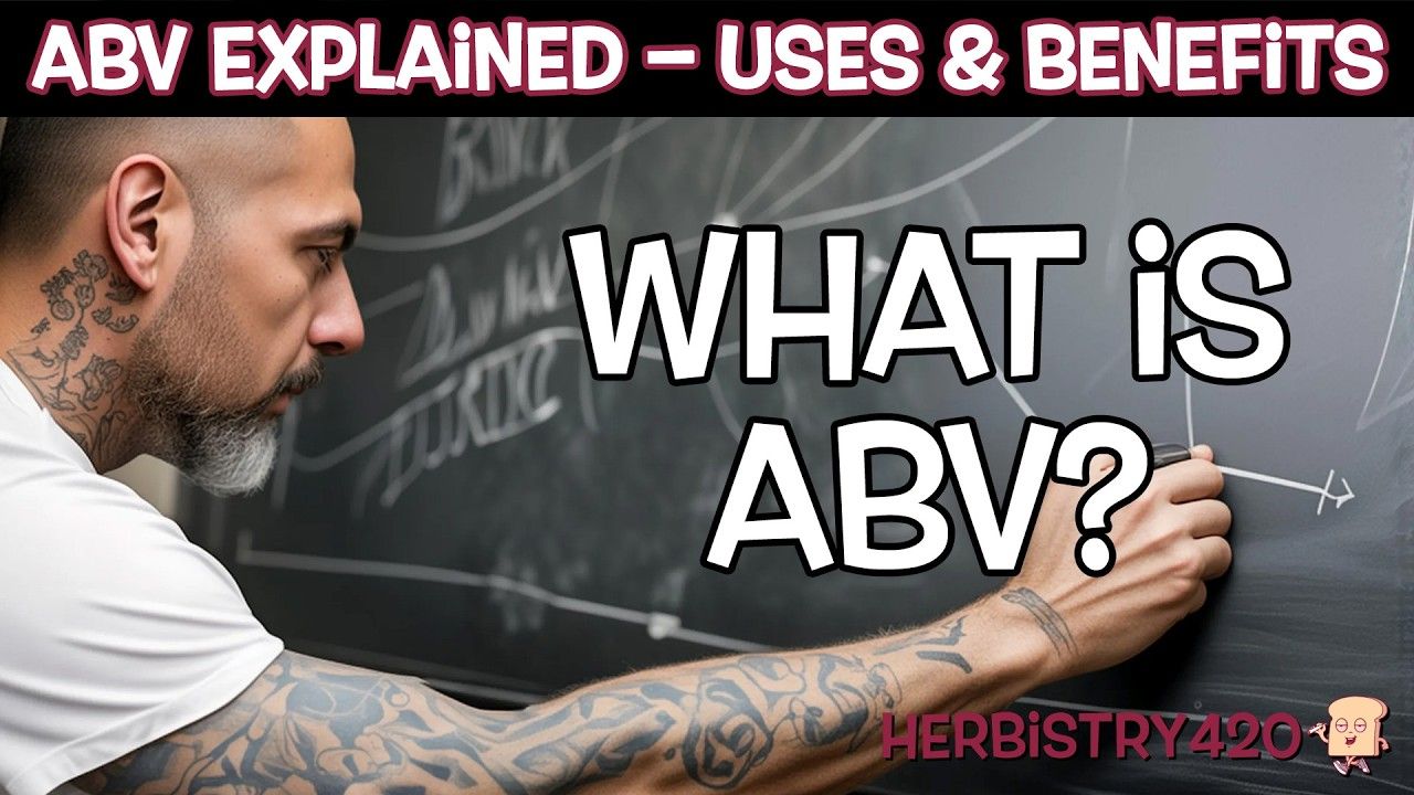 what is avb