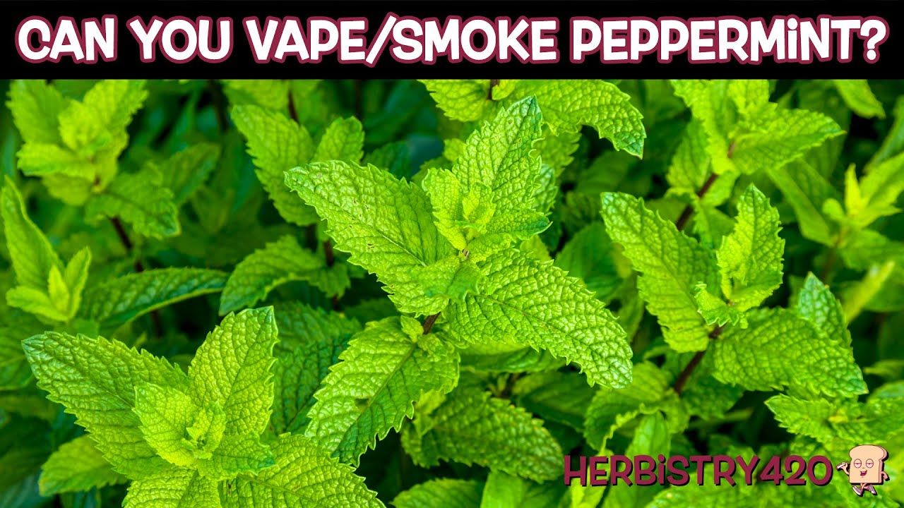 can you vape mint