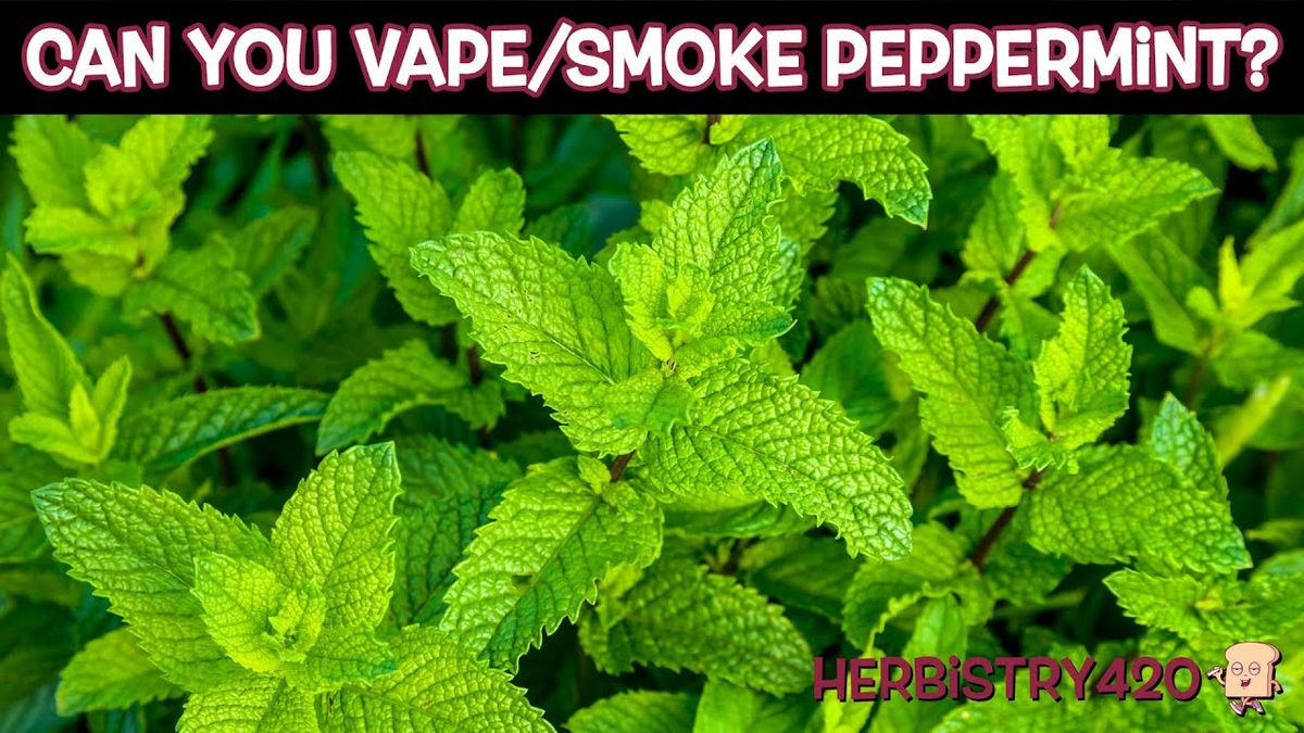 can you vape mint