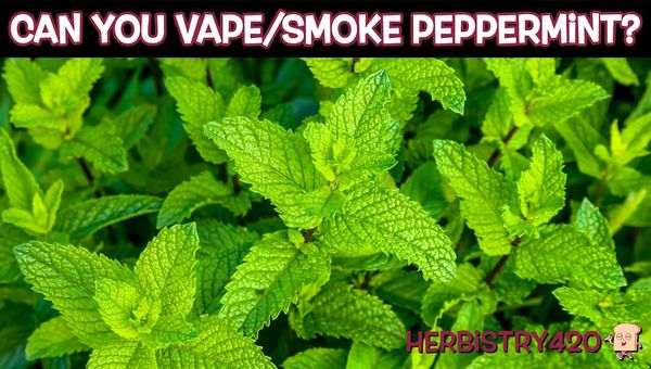 can you vape mint