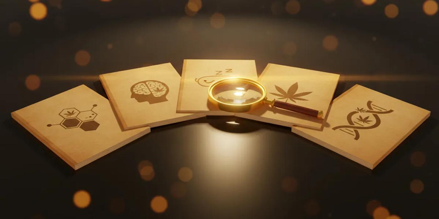 Research papers with cannabis science icons and a magnifying glass