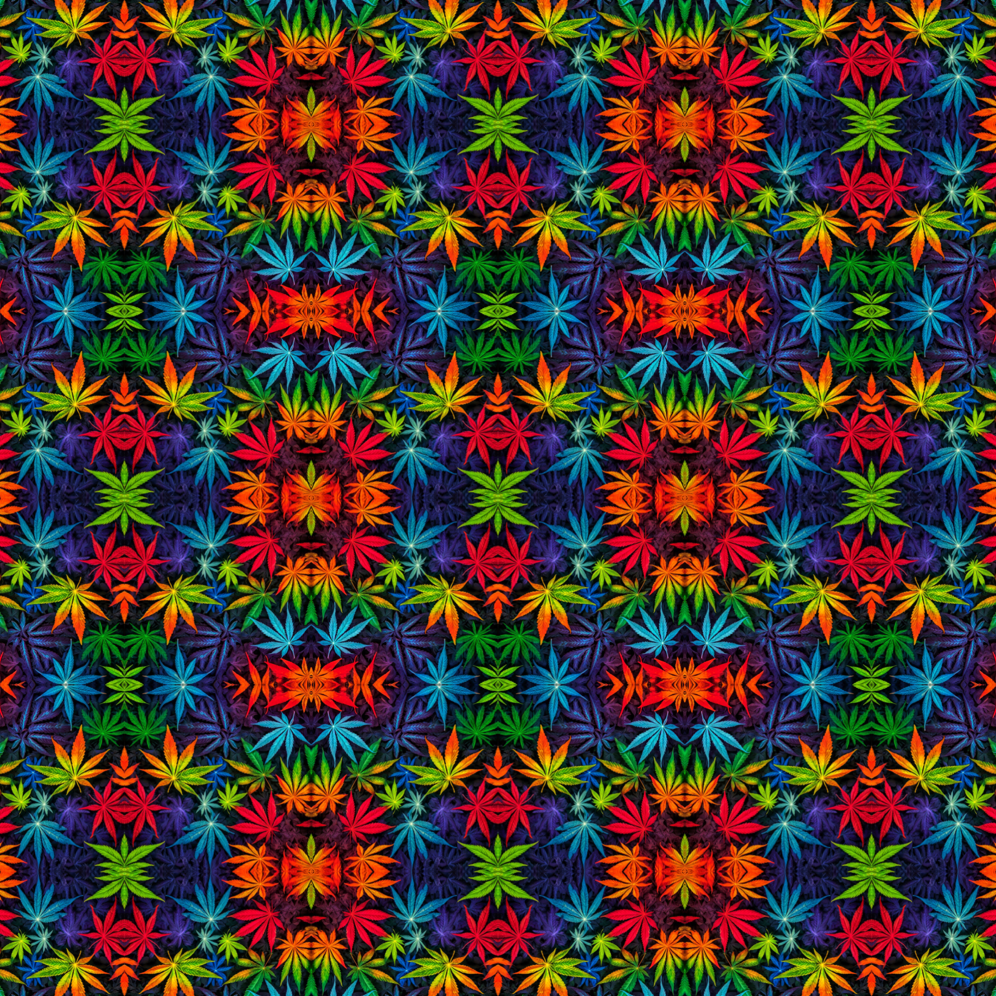 Colorful Leaves – Unisex Hoodie — back