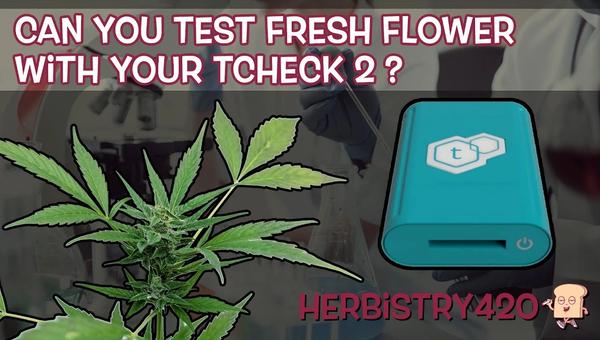 tcheck 2 fresh flower potency test