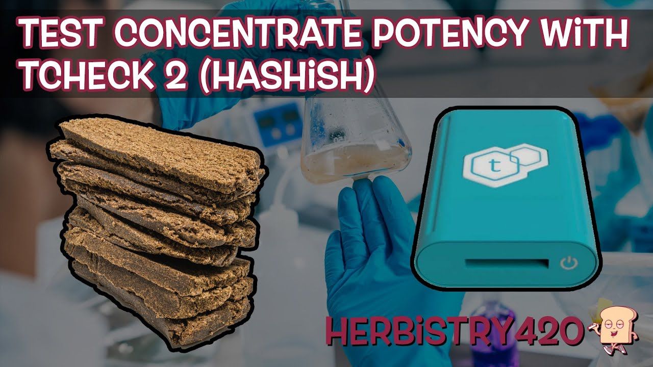 tcheck 2 hashish potency test