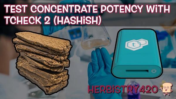tcheck 2 hashish potency test