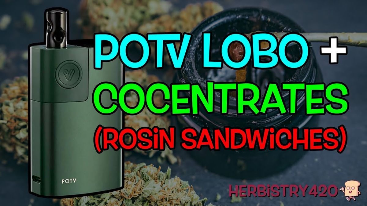 potv lobo rosin concentrates review