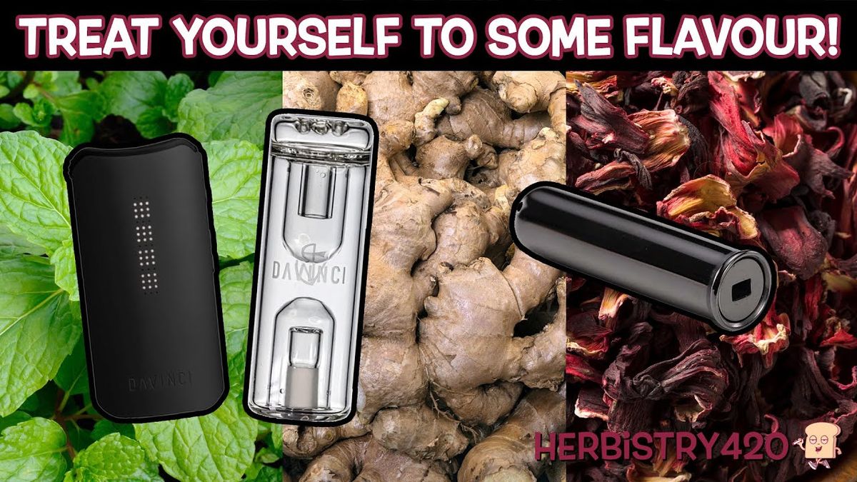 davinci iqc flavor chamber tips