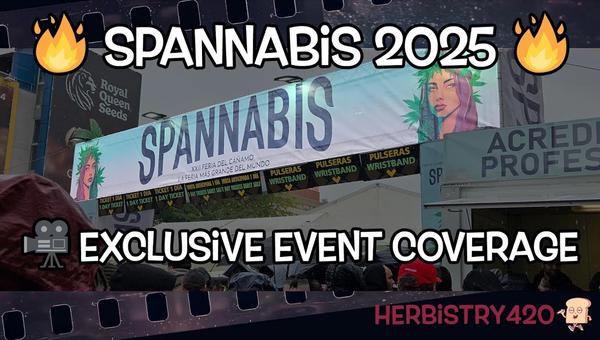 spannabis barcelona 2025